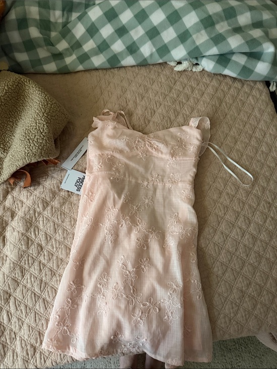 Princess Polly Dresses & Skirts - Princess Polly Blush Pink Embroidered Mini Dress